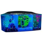 3 Gallon Betta Aquarium Led Fish Tank W  Filtration 3 Compartment Setup New