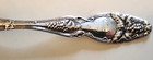 International Cloeta  grape  Sterling Silver Teaspoon