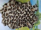 Genuine Naturally Rabbit Fur Skin Tanned Ocelot Bobcat Leather Hides Craft Pelts