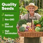 70 Variety Non-gmo Heirloom Vegetable   Herb Seeds - Survival Garden Kit For All