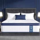 14 Inch Queen Mattress  Upgraded 7-zone Support Hybrid Queen Size Mattress In   