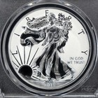2019-w American Silver Eagle Enhanced Reverse Proof  1 Dollar Pcgs Pr70 Fdoi