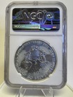 2019  1 American Silver Eagle Ngc Ms70 Brown Label  a15