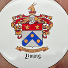 Vintage Wooden Shield Coat Of Arms Young Family Crest Wall Plaque Heraldry Decor