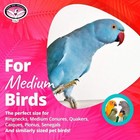 Parrot Dice Bird Toy  Shreddable Bird Toy  Small   Medium Bird Toy  Foraging Toy
