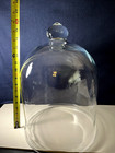 Large  16  Tall By 11 5  Wide Clear Glass Cloche Bell Jar Dome Top Knob Read