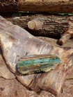 Green Petrified Var  Agatized Jasper  Natural Slab Rough  Java Gem Mineral