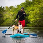 Sup Paddle - 3 Pieces Adjustable Aluminium Sup Paddle Alloy Shaft Paddle Board 