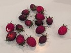 Vtg Raspberry Sugar Beaded Faux Fake Frosted Artificial Fruit Display Decoration