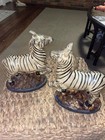 Staffordshire Style Zebra Pair 8    Wide X 10    Tall  Excellent Condition