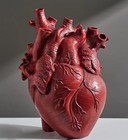 Big Size Anatomical Heart Candle  Resin  Plaster  Soap Silicone Mold