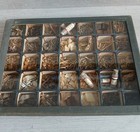 Vintage Herbal Apothecary Dried Specimen Medicine Kit 1900s Case Oddity Science