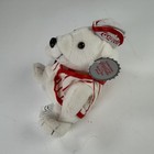 Coca-cola Polar Bear Bean Bag Plush 2000 Collector Series Stuffed Animal Bear