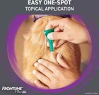 Front Plus For Dogs 45 To 88 Lbs 6 Doses 6 Month Supply Free Shipping Brand New