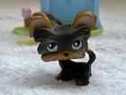 Lps 2006 Littlest Pet Shop Yorkie Terrier  141 Portable Pets Blue Eyes Rare 