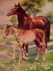 Vintage Horse Mare Foal Print 1939 Children s Book Illustration Victor Becker