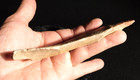 Huge  Rare Four Thousand Year Old  Tenerian Uniface Stone Artifact Mali 114gr