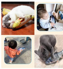 Usb Rechargeable Flopping Fish Cat Toy Interactive Pet Kitten Toy