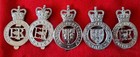 Uk British Police Collection 15 Badge