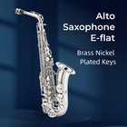 Eb Alto Sax Complete Set - Beginner Pro Package W accessories