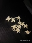 Rattlesnake Vertebrae Bones Authentic