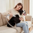 Pet Grooming Vacuum Kit For Dogs Cats Uproot Cleaner Hair Remover