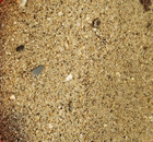 Marina Del Rey Sand Soil Dirt Sample Los Angeles County California Apx  30ml