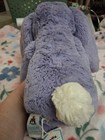 Jellycat Bashful Viola Bunny Plush Stuffed Animal Small Bas3vb