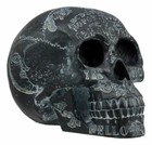 Ebros Black Astrology Paranormal Ouija Spirit Skull Statue 8 5 l Supernatural