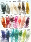 25 Peacock Feathers W  Eyes 21  L  Bleached   Dyed Your Choice Of 21 Colors