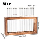 Desktop Glass Plant Propagation Station With 5 Test Tubes In Wooden Stand - H   