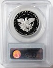 2005 W Proof Platinum  100 American Eagle 1 Oz Statue Of Liberty Pcgs Pr 70 Dcam