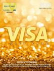 100 Gift Card Plus  5 95 Purchase Fee