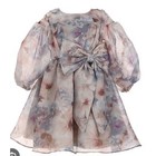  Rare Editions Toddler Little Girls Balloon Sleeve Floral Organza Dress 6038