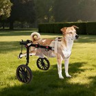 Dog Wheelchair For Back Leg Adjustable Xxl Dog Assist Rehabilitation Walking Aid