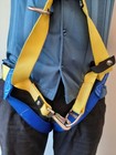 Gemtor 541c-2 Rescue Harness  36 -50   Nylon