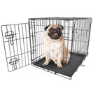 Vibrant Life Wire Dog Crate 24 Inch Single Door Folding Metal Pet Kennel Black