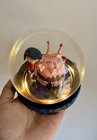Coraline Light Up Globe Diorama Figures Halloween Decor Handmade Gift