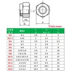 M6 M8 M10 M12 M14 M18 M20 Fine Thread Stainless Steel Nylon Insert Hex Lock Nuts