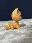 Littlest Pet Shop Shorthair Cat  525  790 Orange Stripe Green Eyes Lps Hasbro