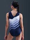 Gk Elite Gymnastics Leotard Nike Liberty Lights - Adult Medium
