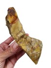 Picture Jasper Rough 352 1 Grams  Lapidary Or Display