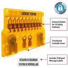 Master Lock 1483bp410 Lockout Station  Wall Mounted  10-lock Covered Station