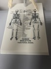 New 21 Inch Tall Human Skeleton Model Skull Anatomical Model With Stand 