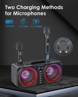 Karaoke Machine Portable Bluetooth Speaker 9 Colors W  2 Wireless Microphones