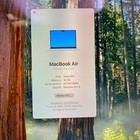 Apple Macbook Air 13  - M4 10 Core 16gb Ram 256gb Ssd  Silver A3240 - Very Good