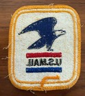 Vintage Us Mail Eagle Embroidered Patch Postal Americana Retro