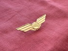 1969 - 1986 Continental Airlines Flight Attendant Wings Stewardess Crew Badge