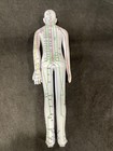 Female Human Acupuncture Model With Meridian Points  White Soft