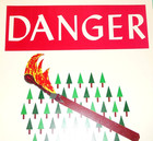 Vintage 1969 Forest Service Poster  danger Deadly Weapon  Usfs Cdf 17x11 In